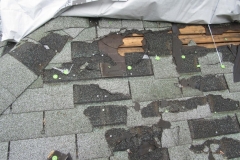 Asphalt Shingles
