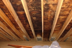 Mold