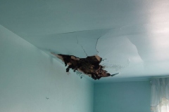 Ceiling damage